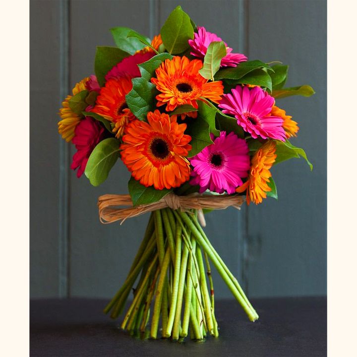 Gerberacsokor - KÖZEPES MÉRET